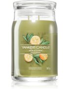 Yankee Candle Sage & Citrus dišeča sveča Signature 567 g
