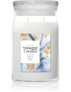 Yankee Candle Silver Birch dišeča sveča 567 g