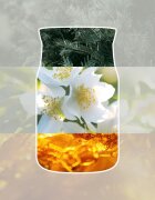 Yankee Candle Silver Birch dišeča sveča 567 g