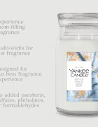 Yankee Candle Silver Birch dišeča sveča 567 g