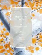 Yankee Candle Silver Birch dišeča sveča Signature 110 g