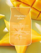 Yankee Candle Starfruit & Sunshine aroma difuzor s polnilom 100 ml
