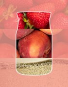 Yankee Candle White Strawberry Bellini dišeča sveča Signature 110 g