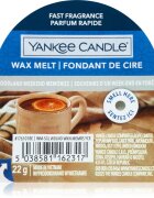 Yankee Candle Woodland Weekend Memories vosek za aroma lučko 22 g