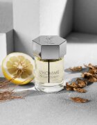 Yves Saint Laurent L'Homme toaletna voda za moške 100 ml