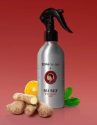 Zew For Men Sea Salt Thomas Henry Spicy Ginger slano pršilo za moške 240 ml