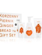 Ziaja Gingerbread darilni set za telo