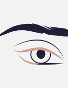 ZOEVA 317 Wing Liner čopič za oči kotni 1 kos