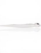 Zopa Digital Thermometer with Flexible Tip digitalni termometer Panda 1 kos