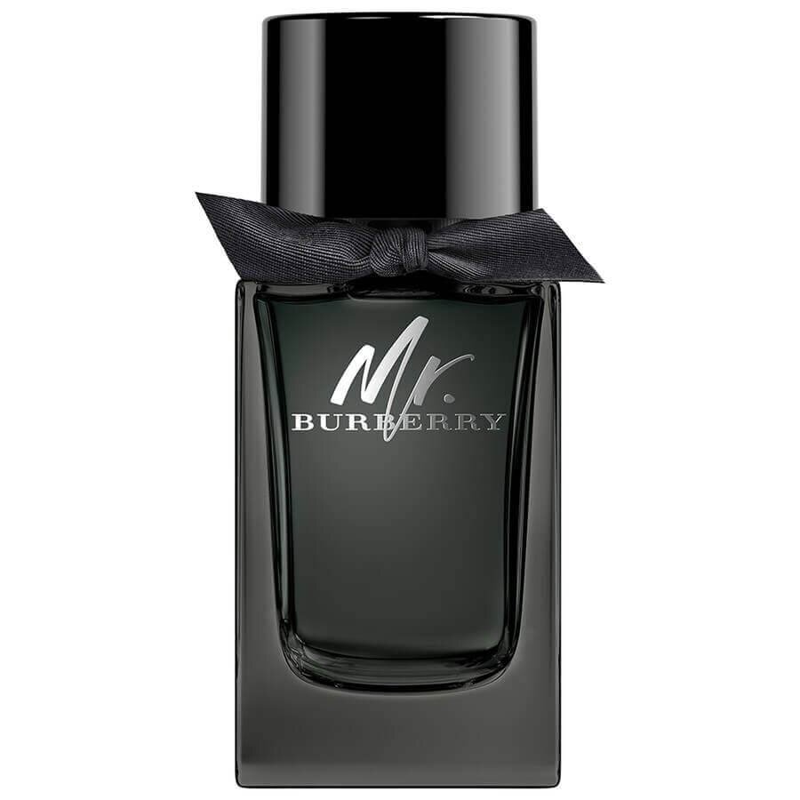 Burberry Mr. Eau De Parfum Parfumska Voda 100 ml