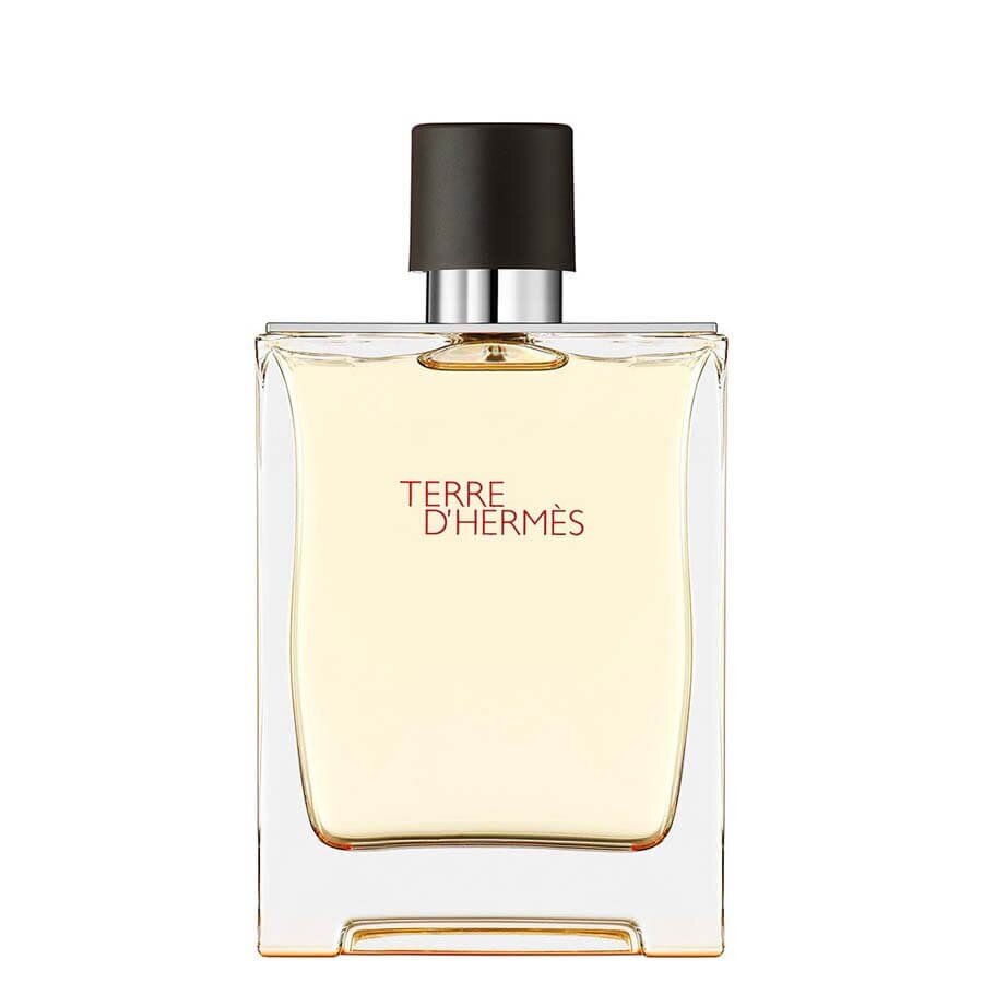 HERMÈS Terre D' Eau De Toilette Toaletna Voda 100 ml