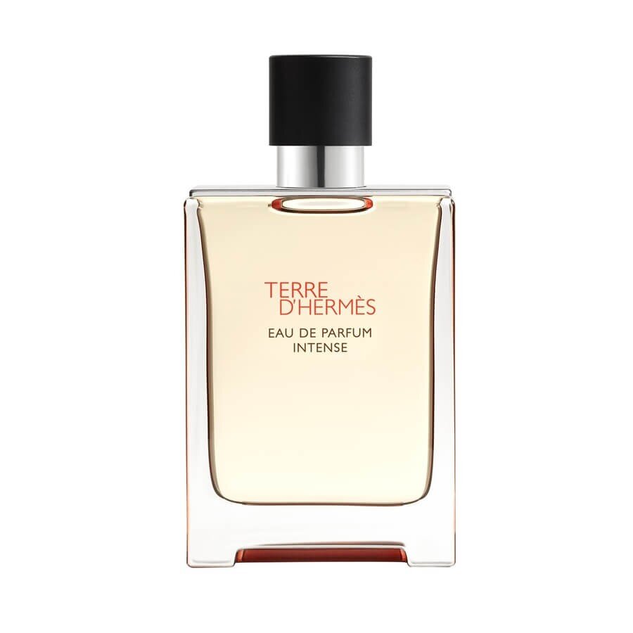 HERMÈS Terre D'Hermes Intense Eau De Parfum Parfumska Voda 100 ml