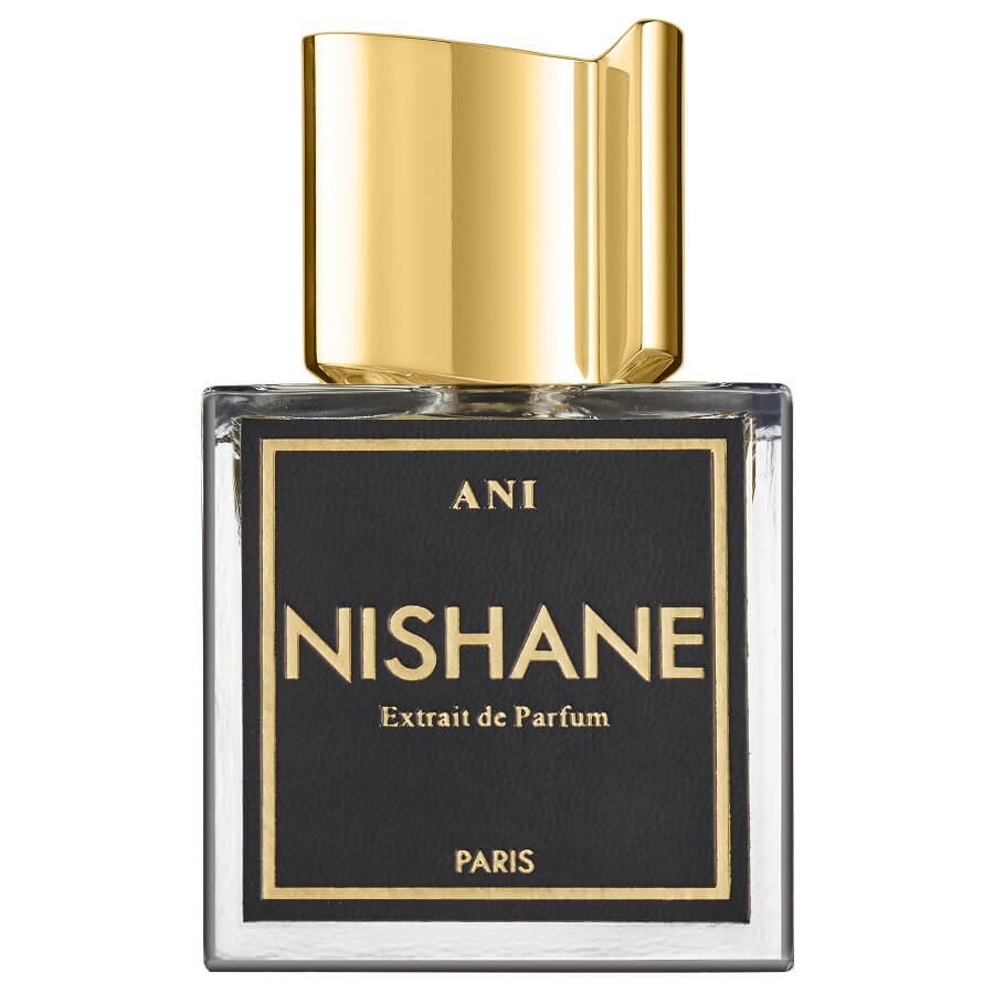 Nishane Collection No Boundaries Ani Extrait De Parfum 100 ml