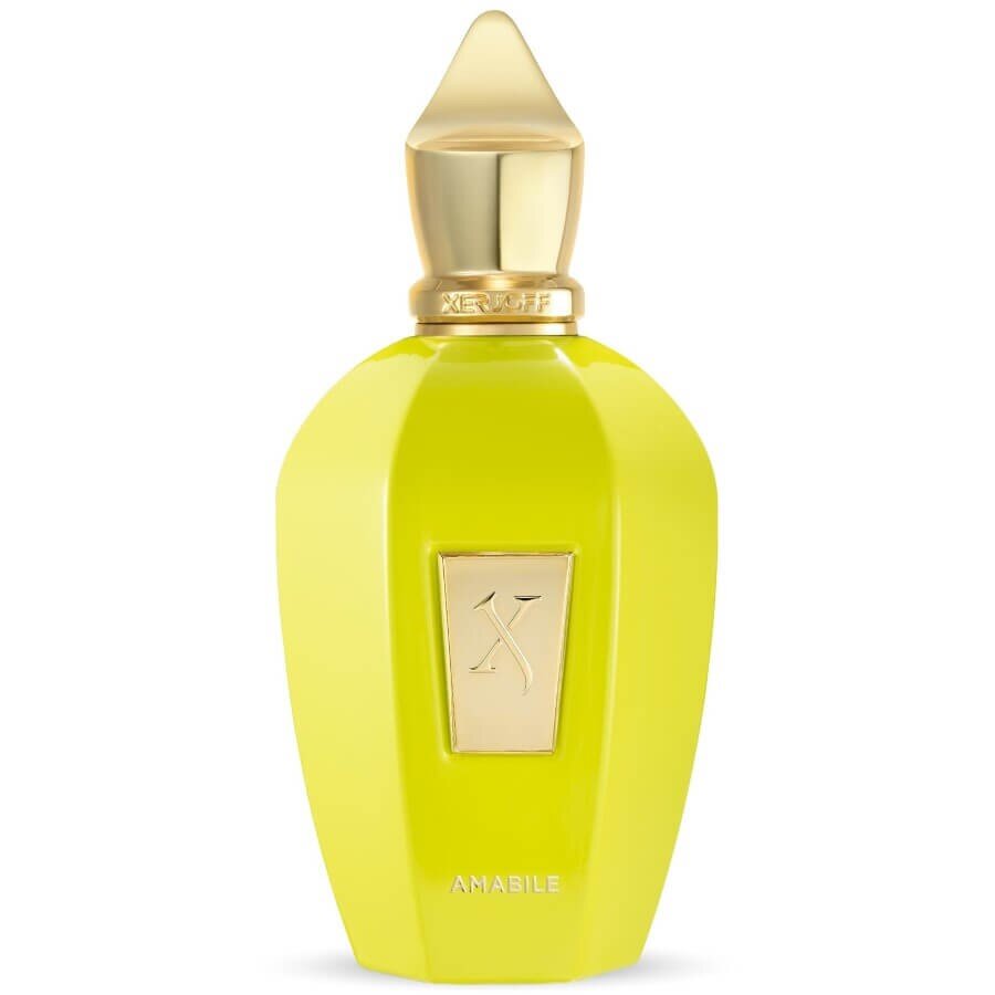 Xerjoff Vibe Amabile Eau De Parfum Parfumska Voda 100 ml