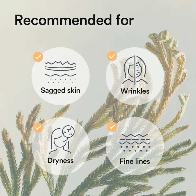 Abib Collagen Gel Mask Jericho Rose Jelly intenzivna hidrogelna maska z učvrstitvenim učinkom 35 g
