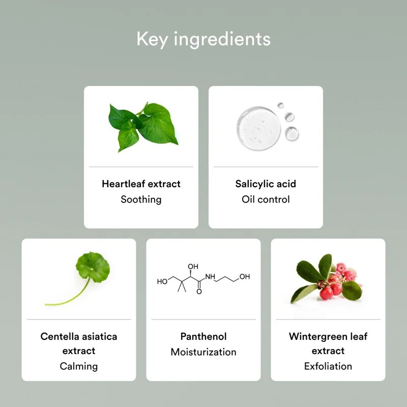Abib Heartleaf Mild Foam Cleanser pomirjevalna čistilna pena za problematično kožo akne 150 ml