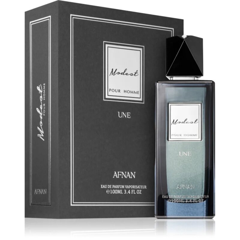 Afnan Modest Une Pour Homme parfumska voda za moške 100 ml