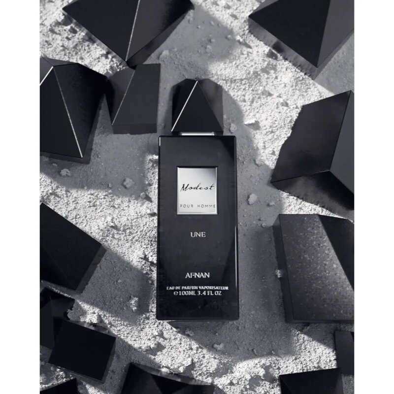 Afnan Modest Une Pour Homme parfumska voda za moške 100 ml