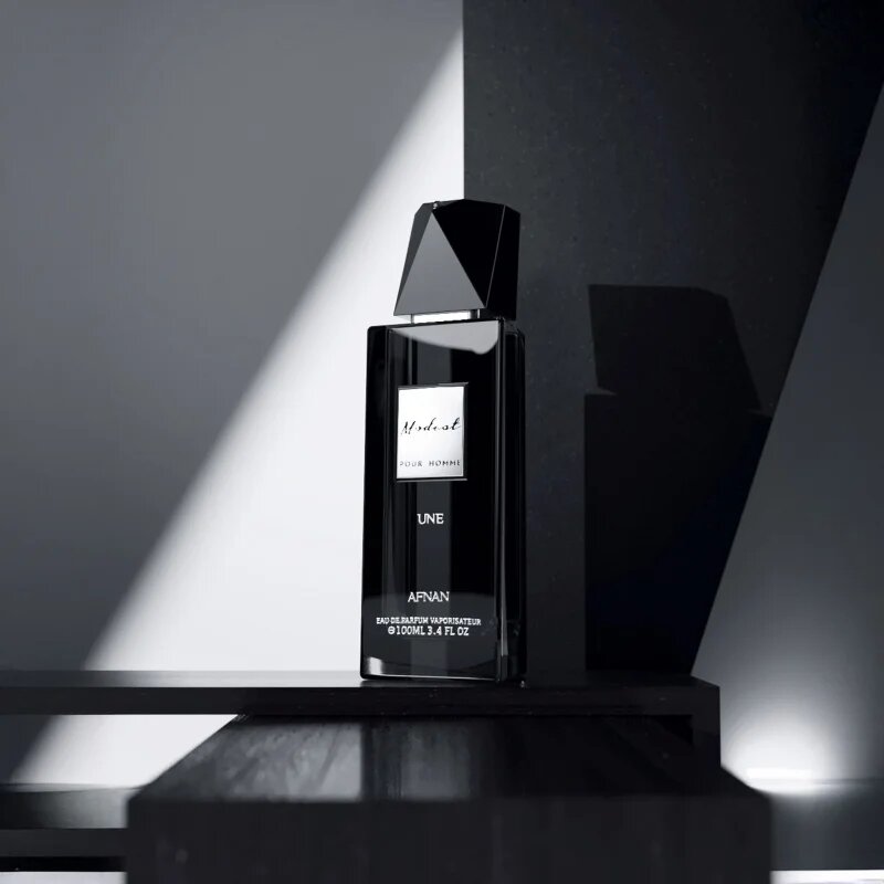 Afnan Modest Une Pour Homme parfumska voda za moške 100 ml