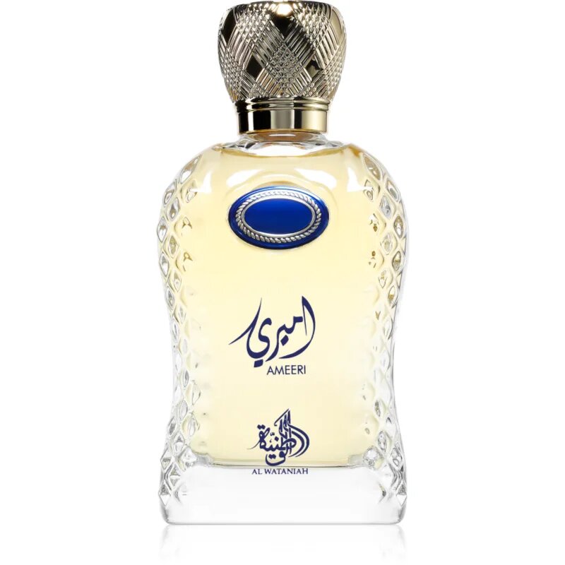 Al Wataniah Ameeri parfumska voda za moške 100 ml
