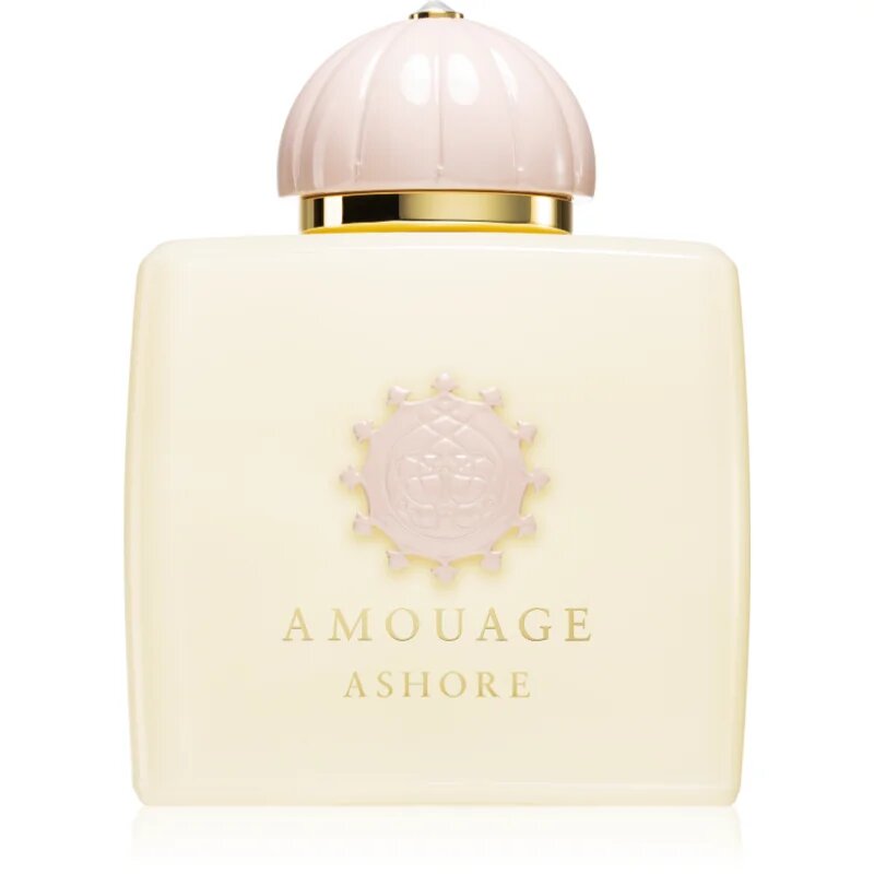 Amouage Ashore parfumska voda uniseks 100 ml