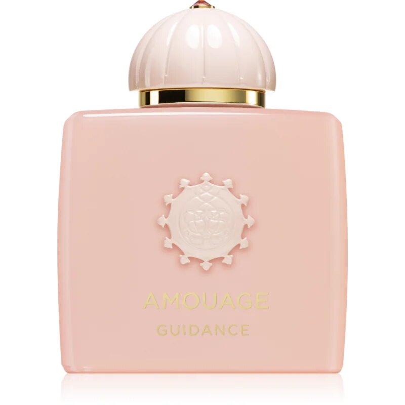 Amouage Guidance parfumska voda uniseks 100 ml