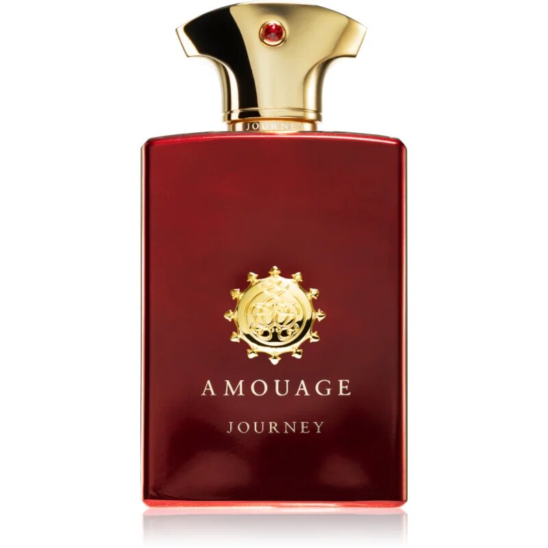 Amouage Journey parfumska voda za moške 100 ml