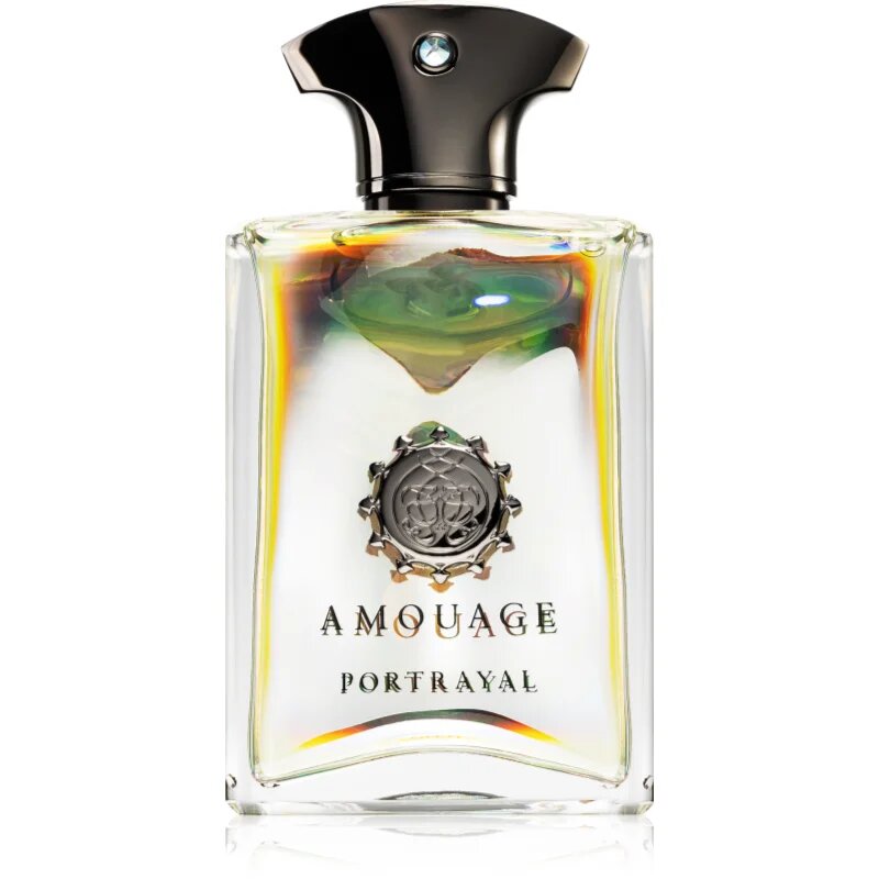 Amouage Portrayal parfumska voda za moške 100 ml