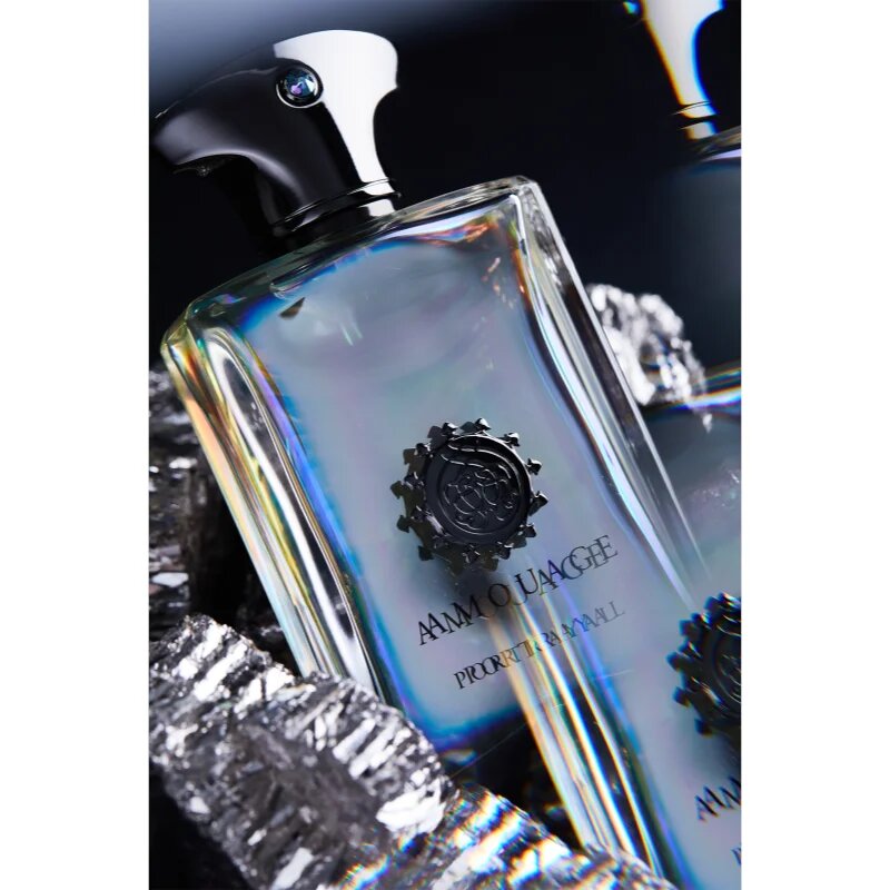 Amouage Portrayal parfumska voda za moške 100 ml