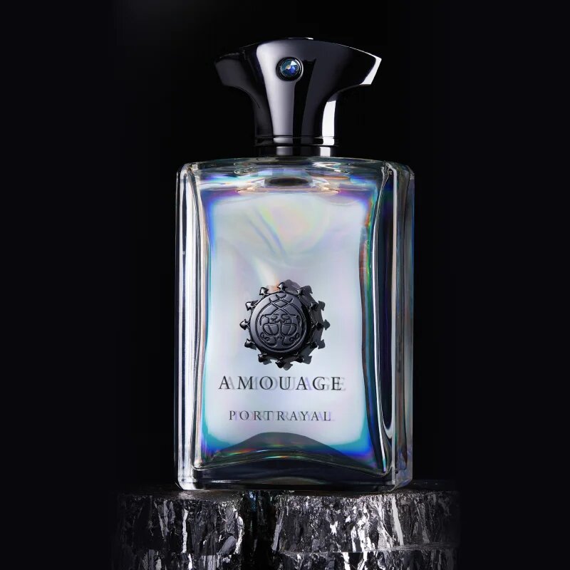 Amouage Portrayal parfumska voda za moške 100 ml