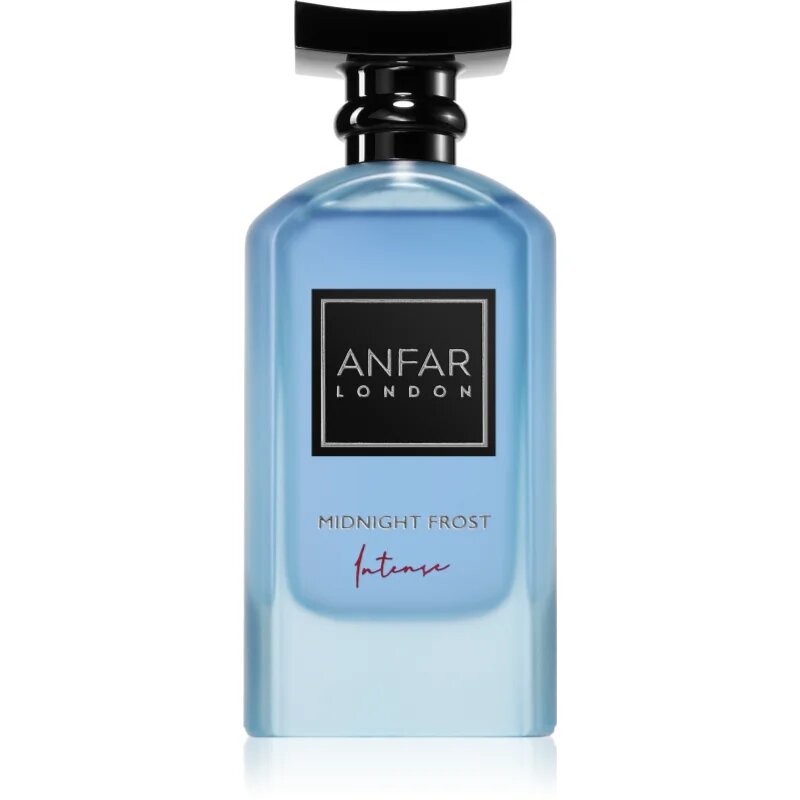 Anfar Midnight Frost Intense parfumski ekstrakt za moške 100 ml