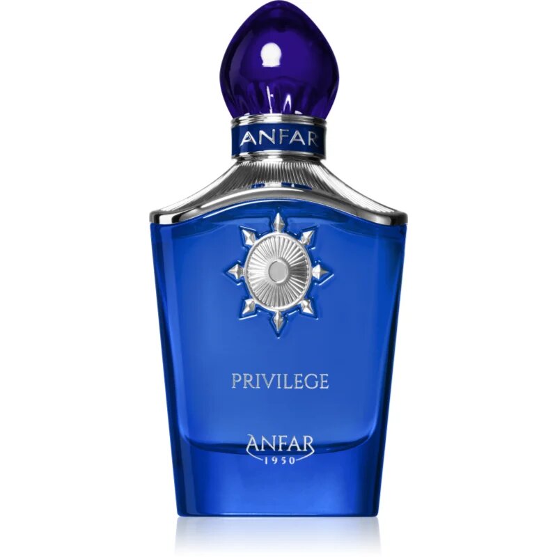 Anfar Privilege parfumski ekstrakt za moške 100 ml