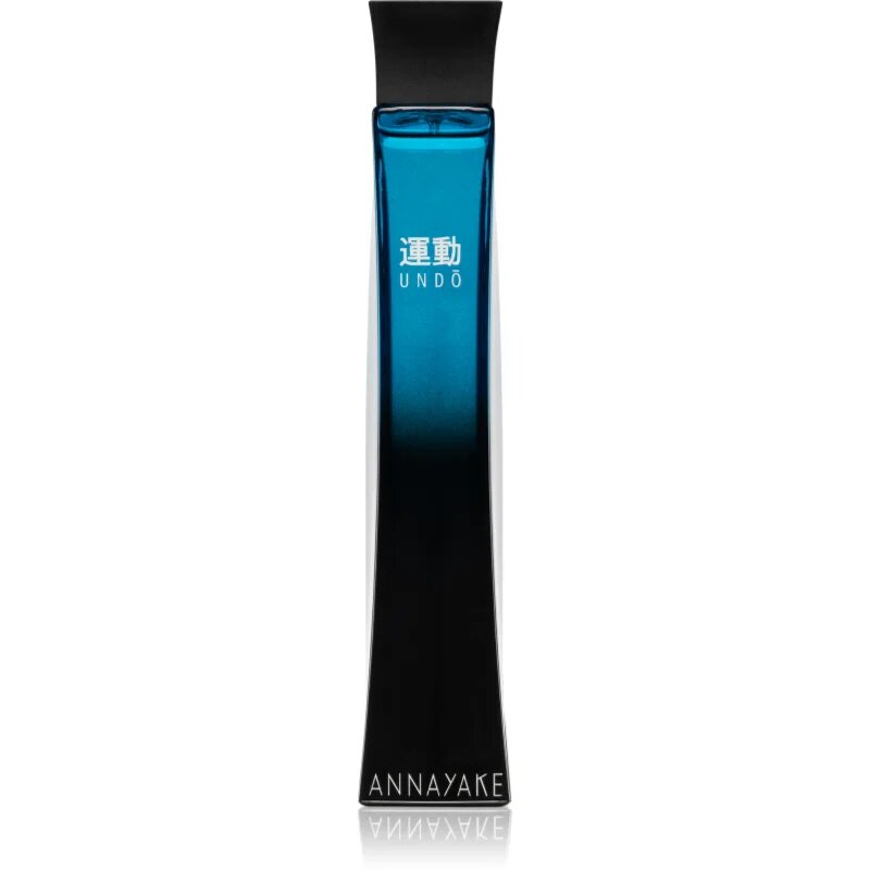 Annayake Undo Pour Homme toaletna voda za moške 100 ml
