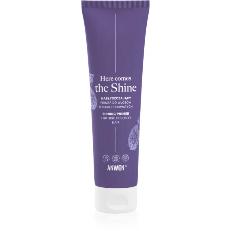 Anwen Here Comes The Shine Shining Primer For High Porosity Hair podlaga za lase 100 ml