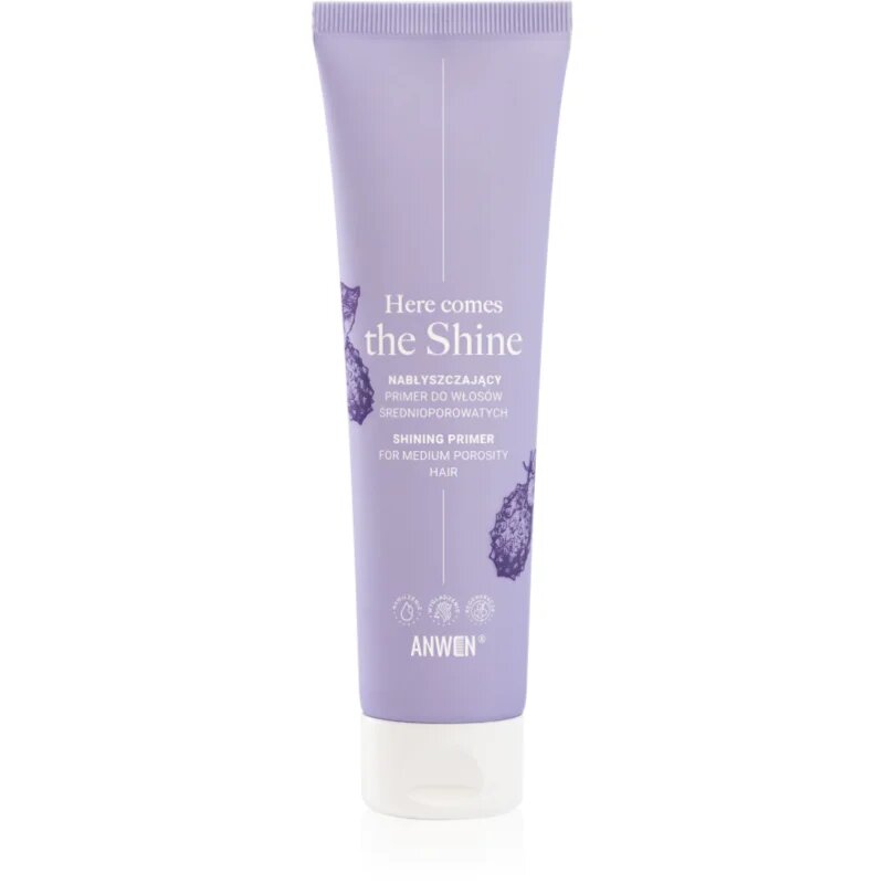 Anwen Here Comes The Shine Shining Primer For Medium Porosity Hair podlaga za lase 100 ml