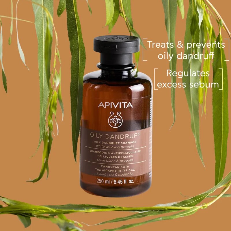 Apivita Dandruff Relief Oily Dandruff Dermatological Shampoo šampon proti prhljaju za mastne lase 250 ml