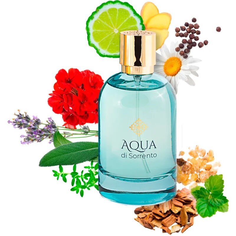 Aqua di Sorrento Posillipo parfumska voda uniseks 100 ml