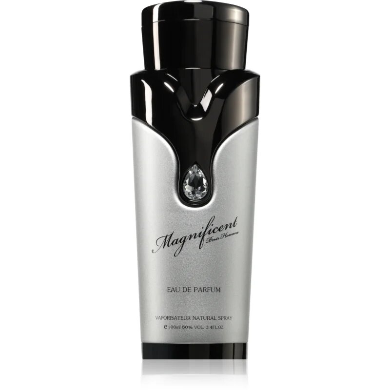 Armaf Magnificent Pour Homme parfumska voda za moške 100 ml