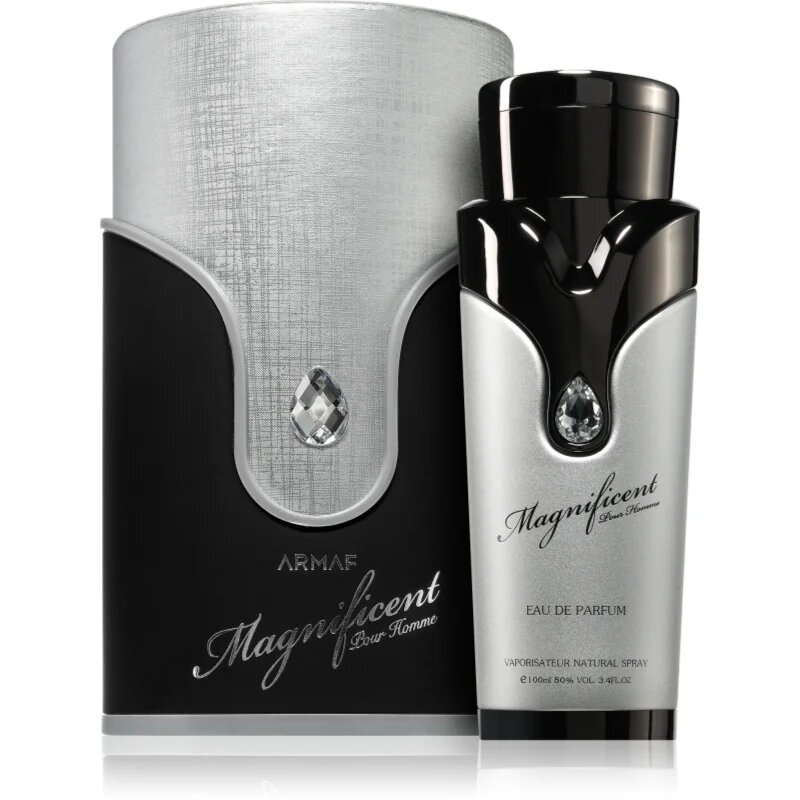 Armaf Magnificent Pour Homme parfumska voda za moške 100 ml