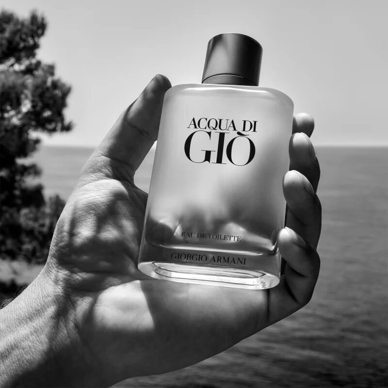 Armani Acqua di Giò toaletna voda polnilna za moške 30 ml