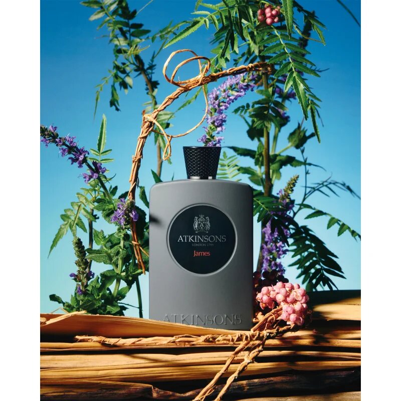 Atkinsons James parfumska voda za moške 100 ml