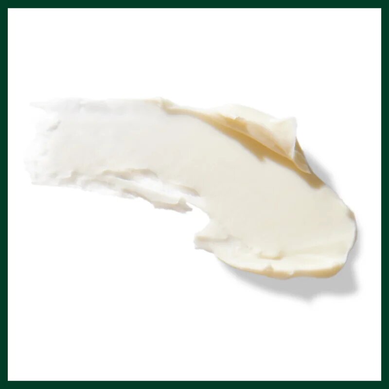 Aveda Men Pure - Formance™ Grooming Clay glina za modeliranje za fiksacijo in obliko 75 ml