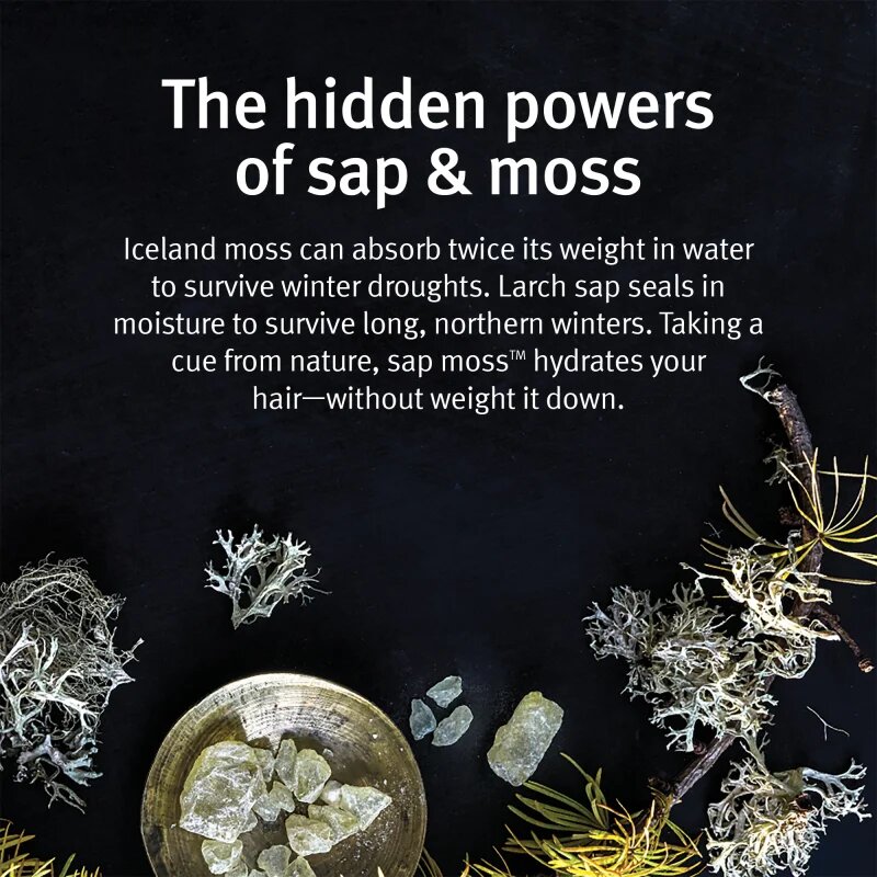 Aveda Sap Moss™ Weightless Hydrating Shampoo lahki vlažilni šampon proti krepastim lasem 200 ml
