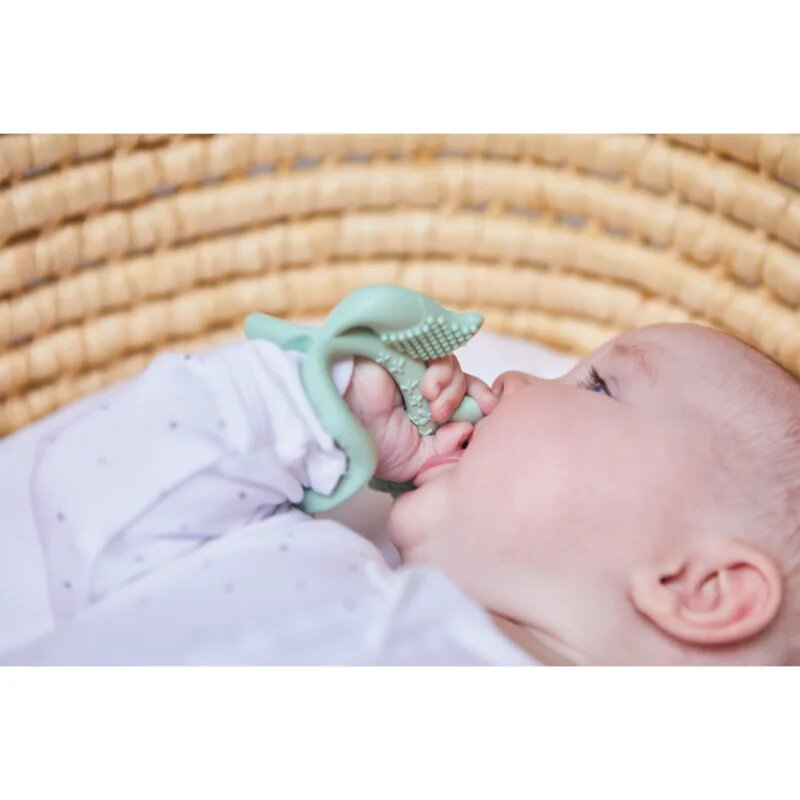 B.Box Teether grizalne zapestnice Green 3m+ 1 kos