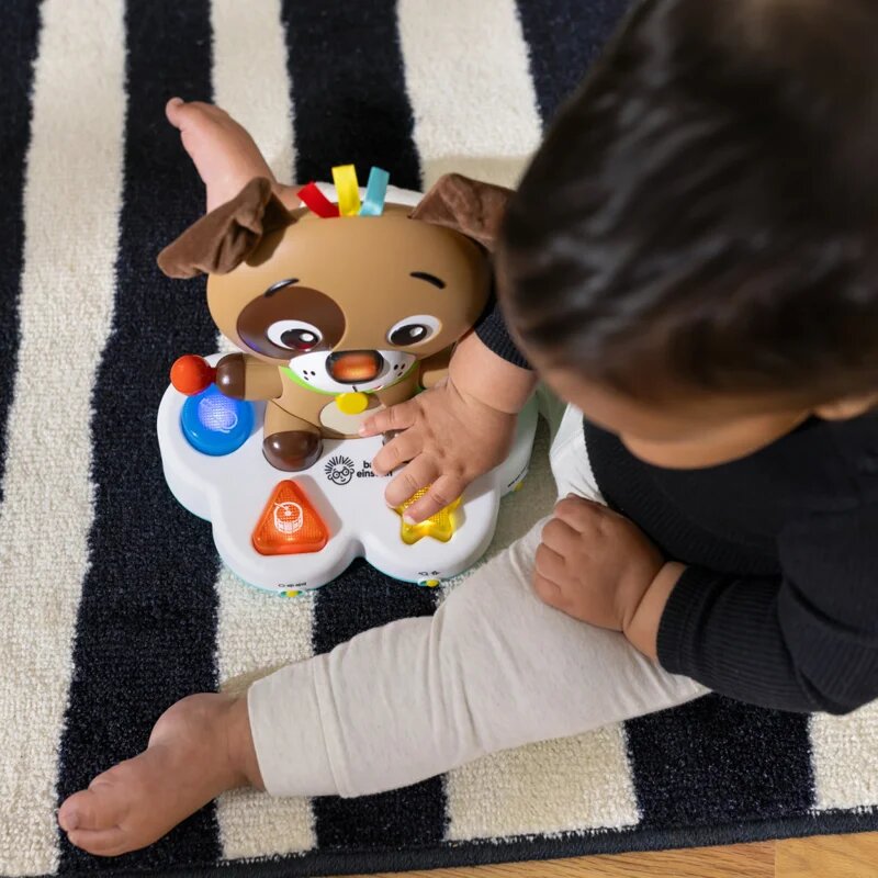 Baby Einstein Drum & Learn Dean Musical Learning Toy glasbena igrača 6 m+ 1 kos