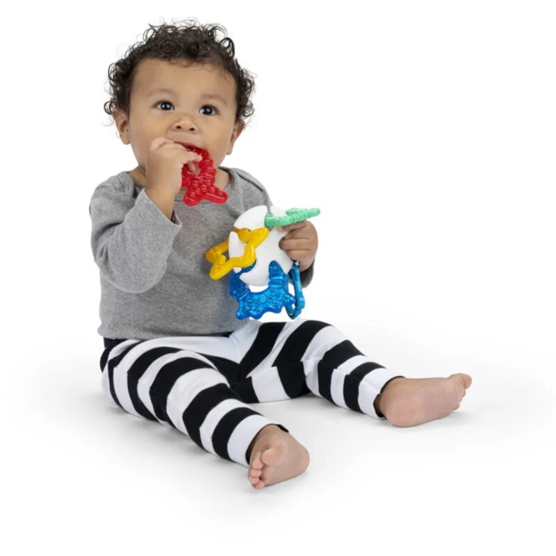 Baby Einstein Ocean Explorers Sea of Sensory Teether Toy grizalo 3 m+ 1 kos