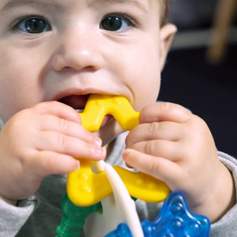 Baby Einstein Ocean Explorers Sea of Sensory Teether Toy grizalo 3 m+ 1 kos