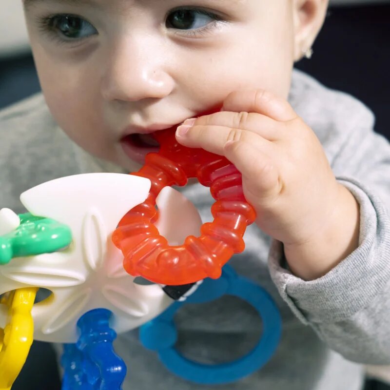 Baby Einstein Ocean Explorers Sea of Sensory Teether Toy grizalo 3 m+ 1 kos