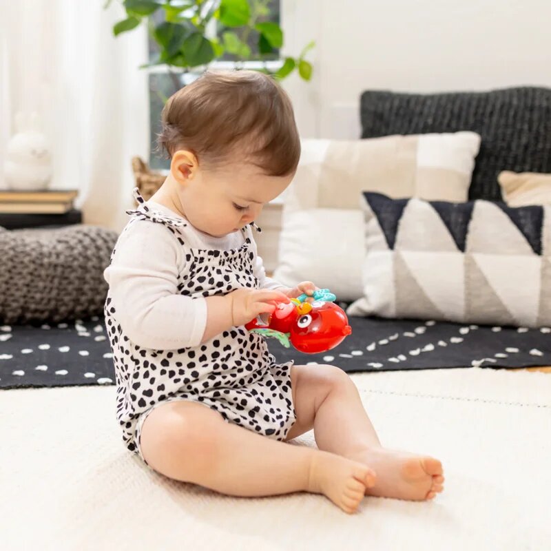 Baby Einstein Roxy's Bright Flight™ glasbena igrača 3m 1 kos