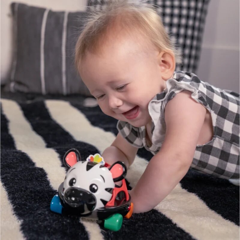 Baby Einstein Zen the Zebra™ Curious Car avtomobilček z ropotuljico 3 m+ 1 kos